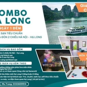 Combo du lịch Hạ Long 2 ngày 1 đêm từ Hà Nội