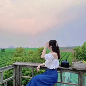Tour du lịch Mộc Châu từ Hà Nội 2 ngày 1 đêm